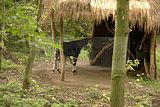 leipzig zoo-01_07_2011_zoo_allgemein_223